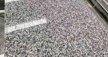 秦皇岛 芙蓉白光面