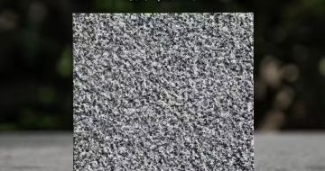 秦皇岛 芝麻黑荔枝面