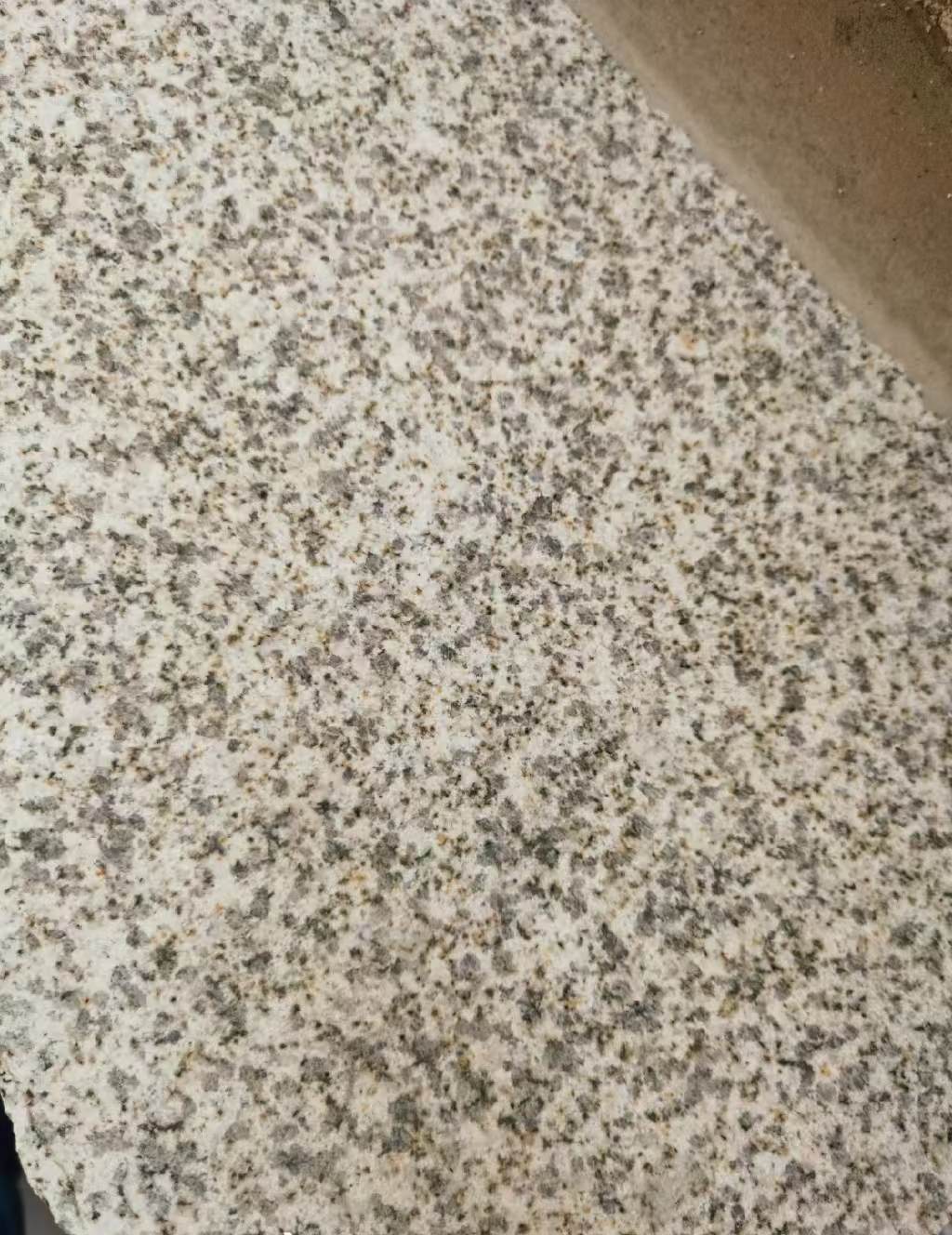 秦皇岛 黄金麻中黄光面