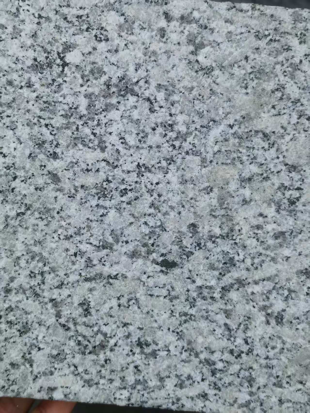 秦皇岛 芙蓉白火烧面