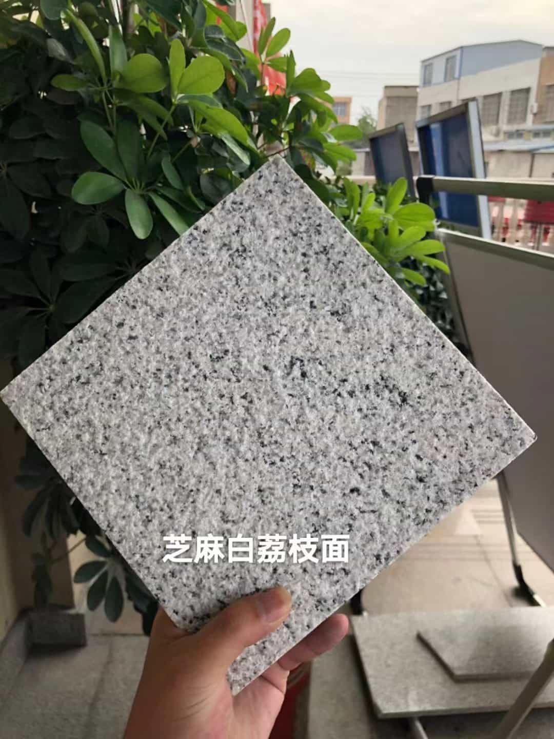 秦皇岛 芝麻白荔枝面干挂