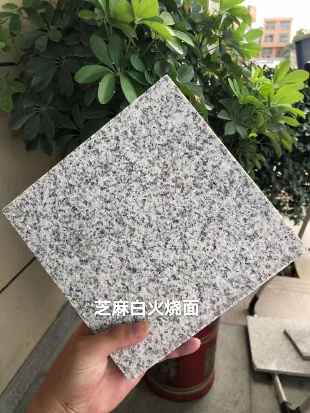 秦皇岛芝麻白火烧面地铺